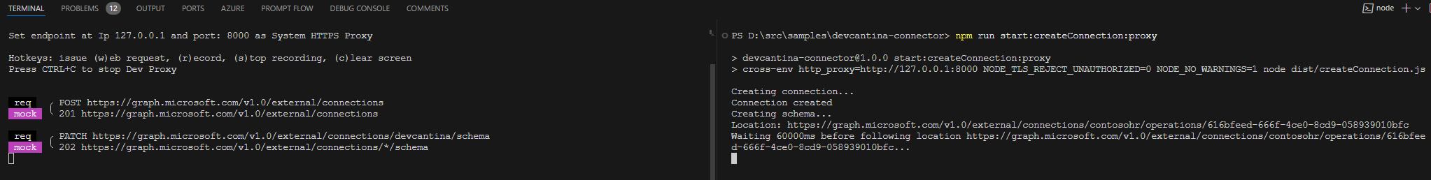 On the left, DevProxy is incercepting the calls to the Microsoft Graph; on the right, the application is creating the connection and the schema